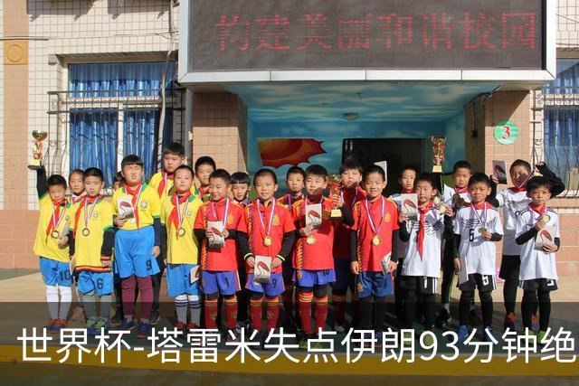 世界杯-塔雷米失点伊朗93分钟绝杀球被吹 埃及1-1获小组第二